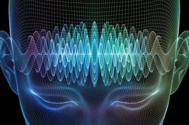 brain waves 800x527 1